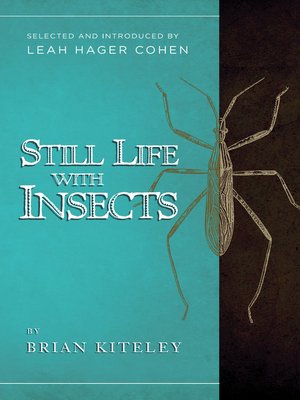 cover image of Still Life with Insects